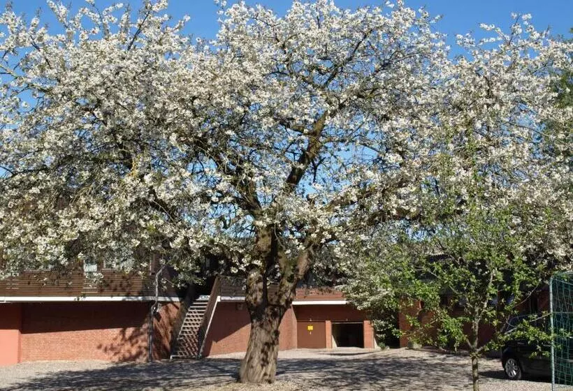 Hotelli Gammelby