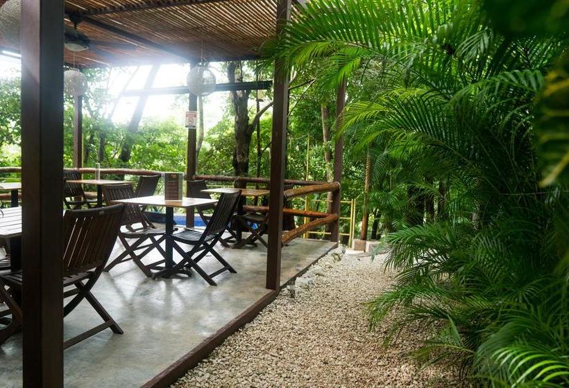 Hotelli Green Sanctuary