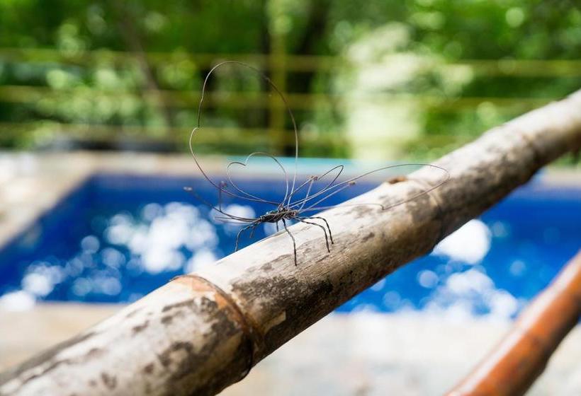 Hotelli Green Sanctuary