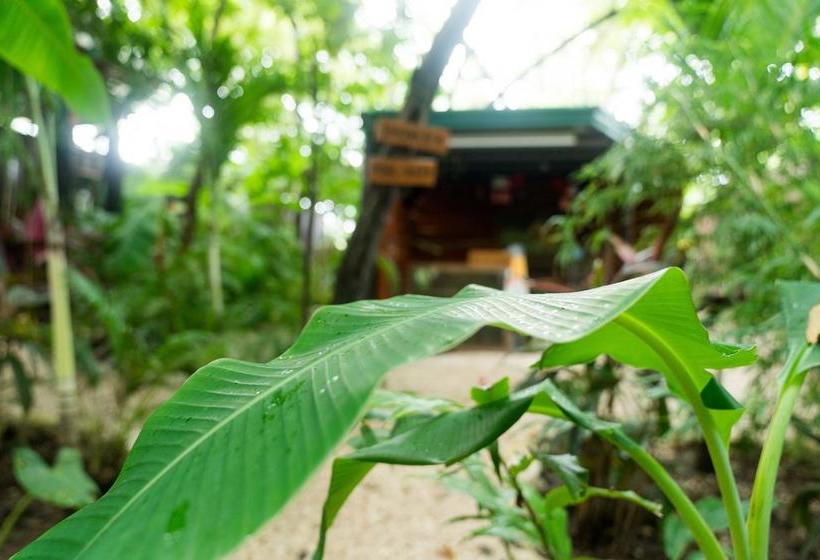 Hotelli Green Sanctuary