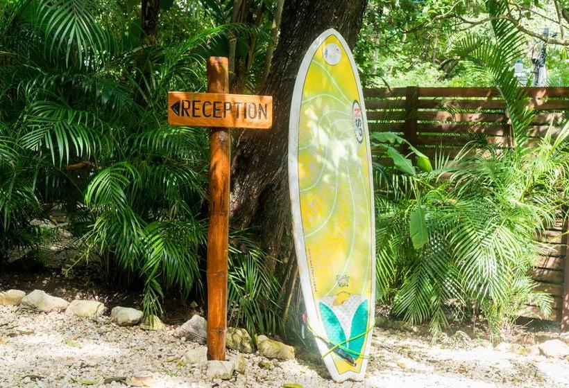 Hotelli Green Sanctuary