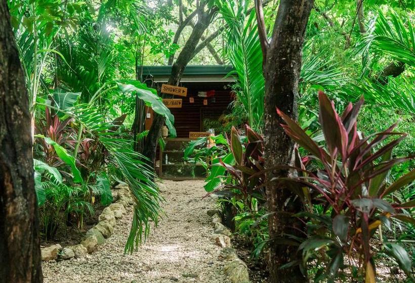 Hotelli Green Sanctuary