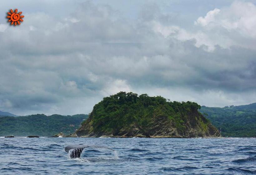 فندق Locanda Samara Beach