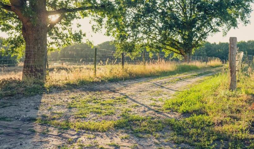 בית מלון כפרי Restinn Emmen