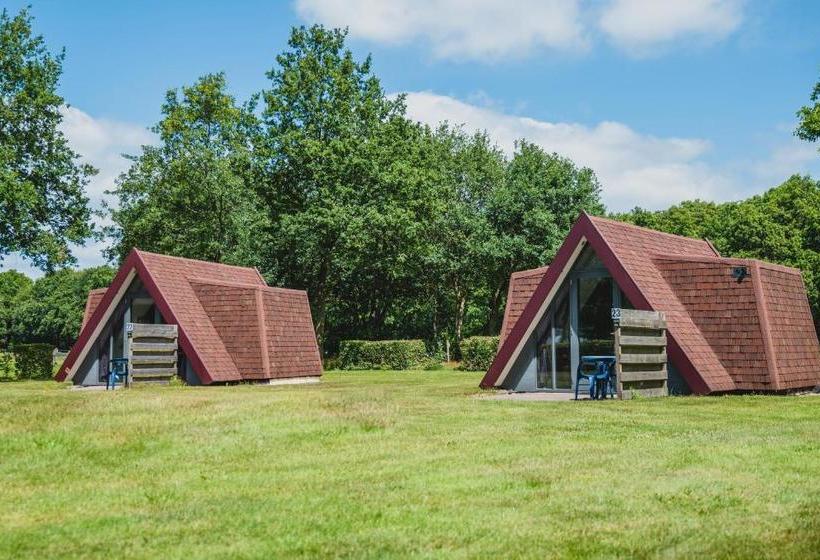 בית מלון כפרי Restinn Emmen