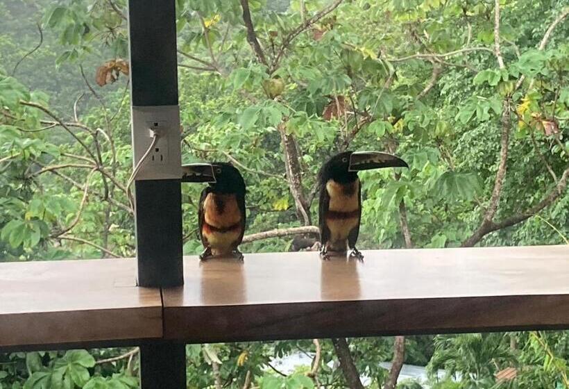 هتل Santa Teresa Surf Vista Villas