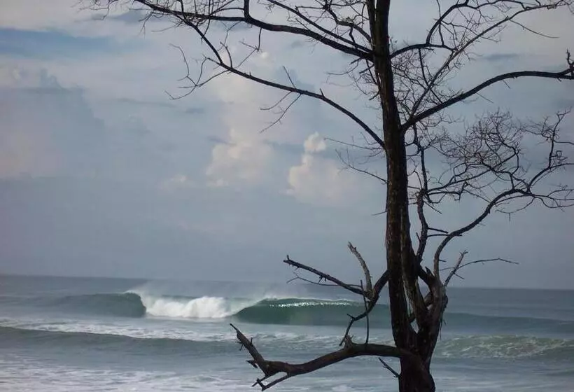 ホテル Santa Teresa Surf Vista Villas