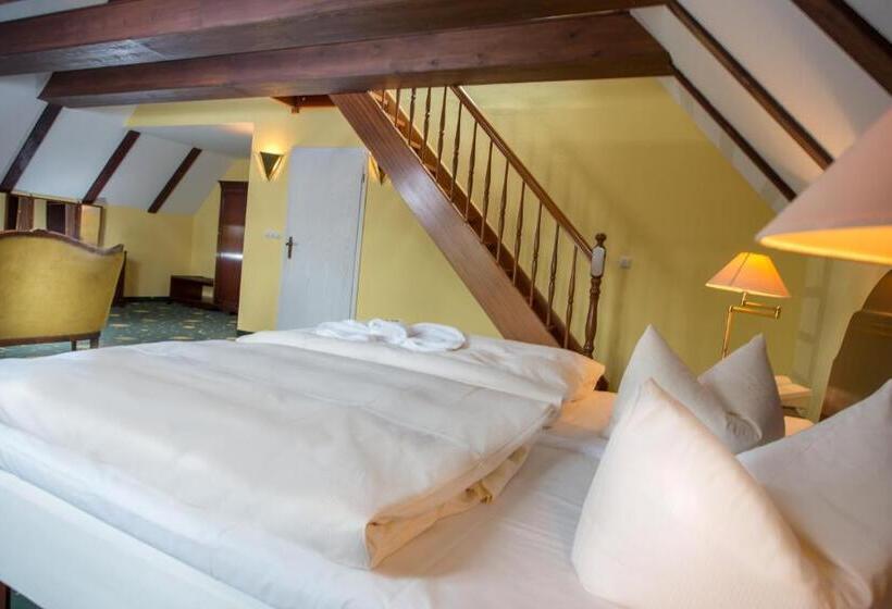 Отель Stettiner Hof