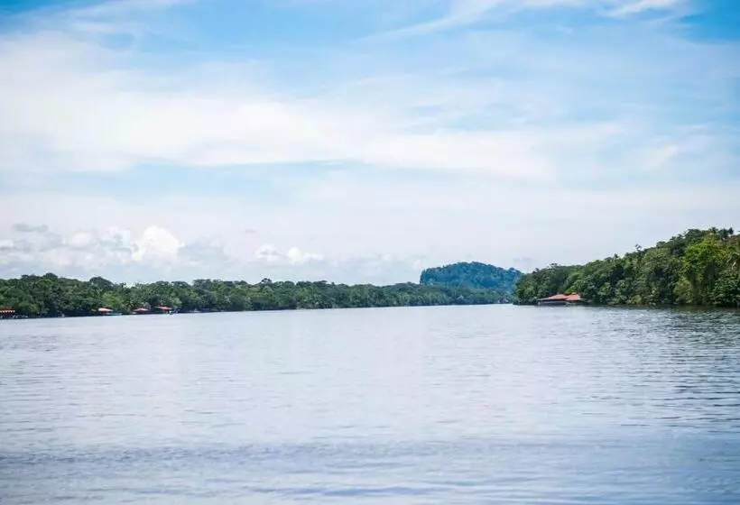 ホテル Tortuguero Beachfront