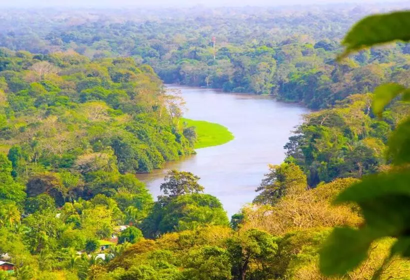 ホテル Tortuguero Beachfront