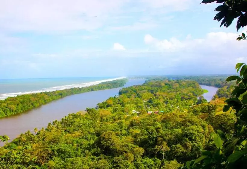 ホテル Tortuguero Beachfront