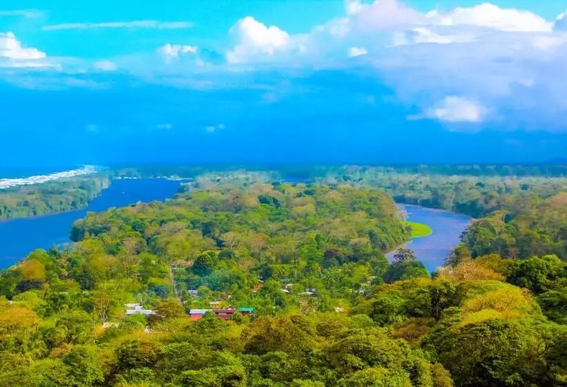 ホテル Tortuguero Beachfront