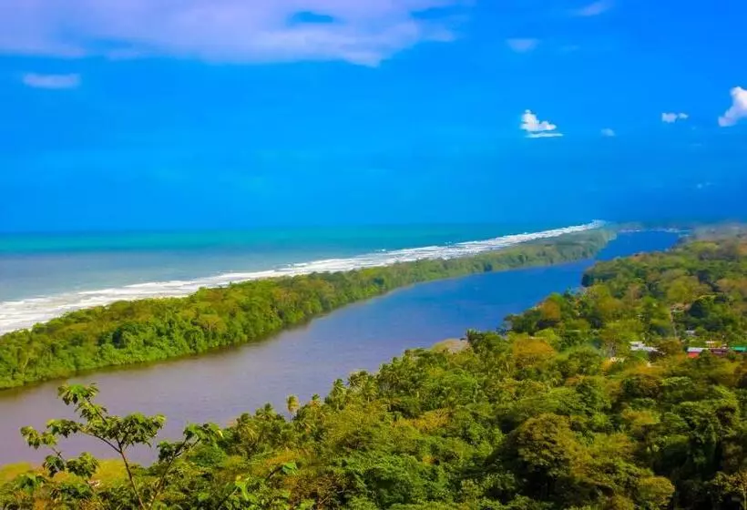 ホテル Tortuguero Beachfront