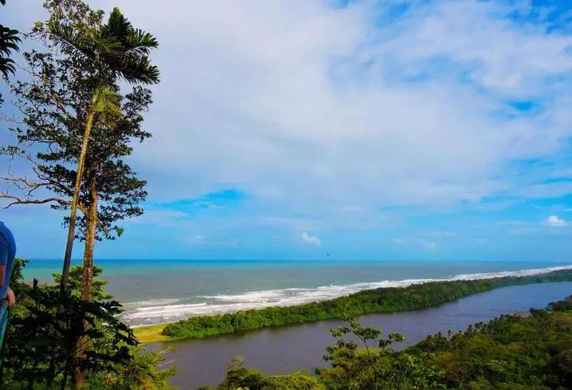 ホテル Tortuguero Beachfront