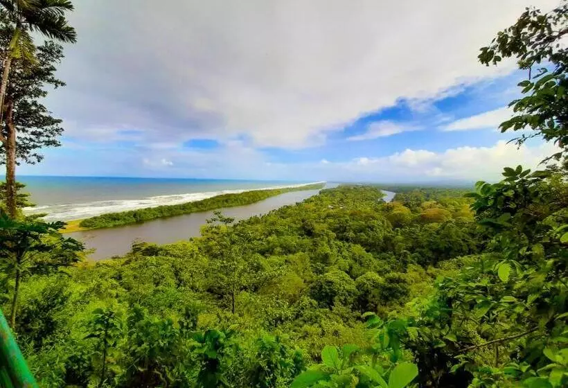 ホテル Tortuguero Beachfront