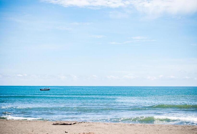 هتل Tortuguero Beachfront
