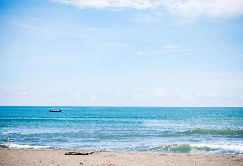 ホテル Tortuguero Beachfront