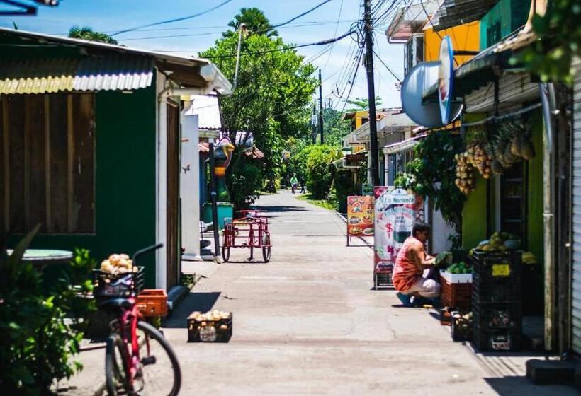 هتل Tortuguero Beachfront
