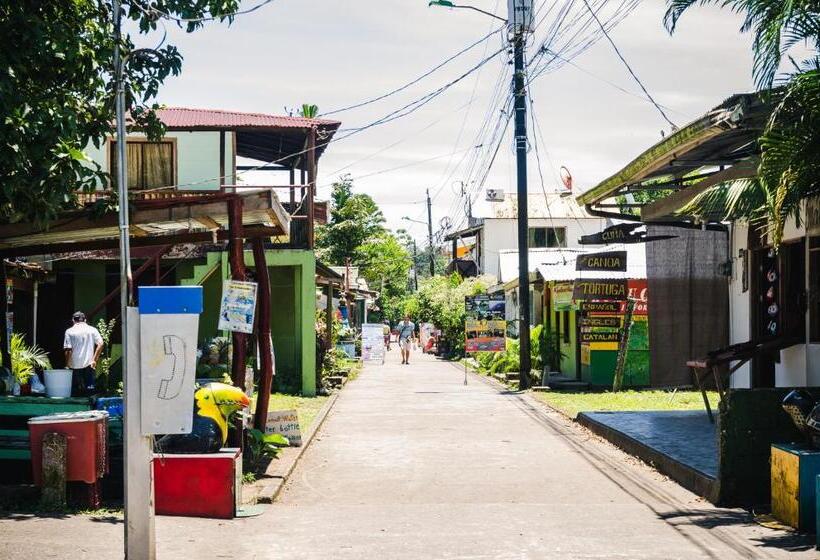 هتل Tortuguero Beachfront