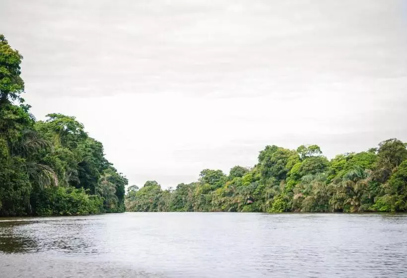 ホテル Tortuguero Beachfront