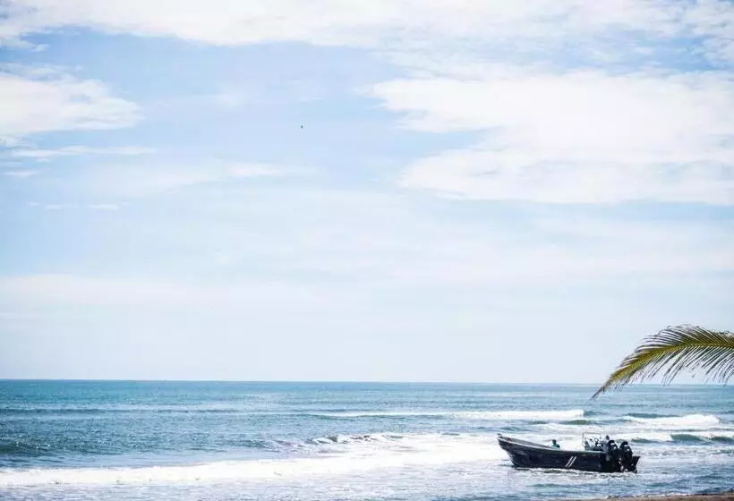 ホテル Tortuguero Beachfront