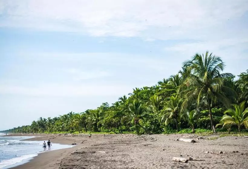ホテル Tortuguero Beachfront