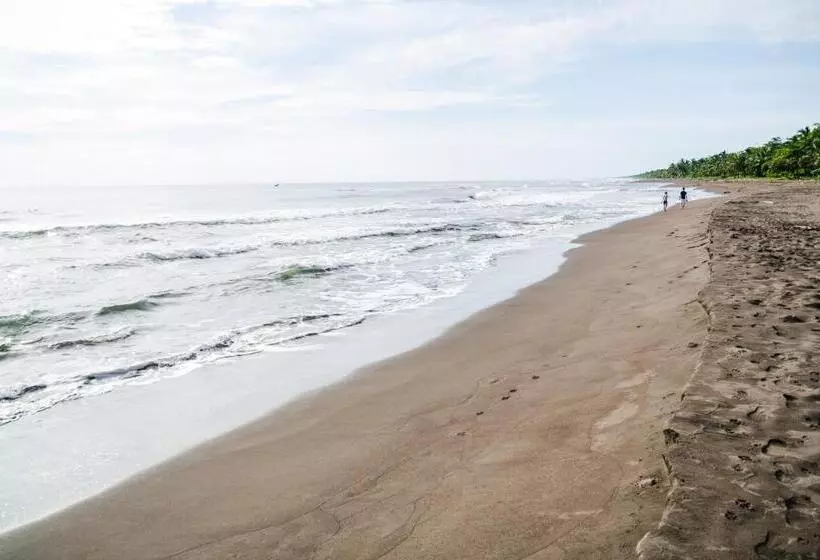 ホテル Tortuguero Beachfront