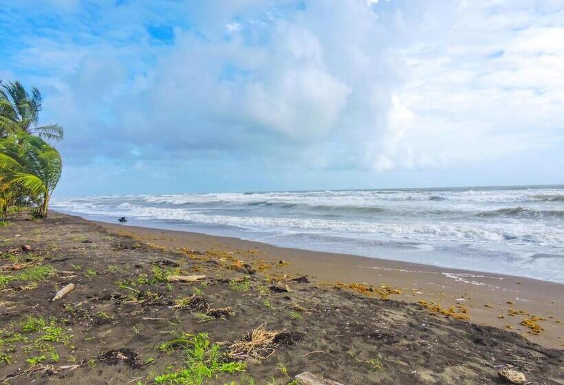 호텔 Tortuguero Beachfront