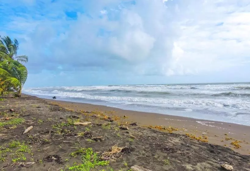 ホテル Tortuguero Beachfront