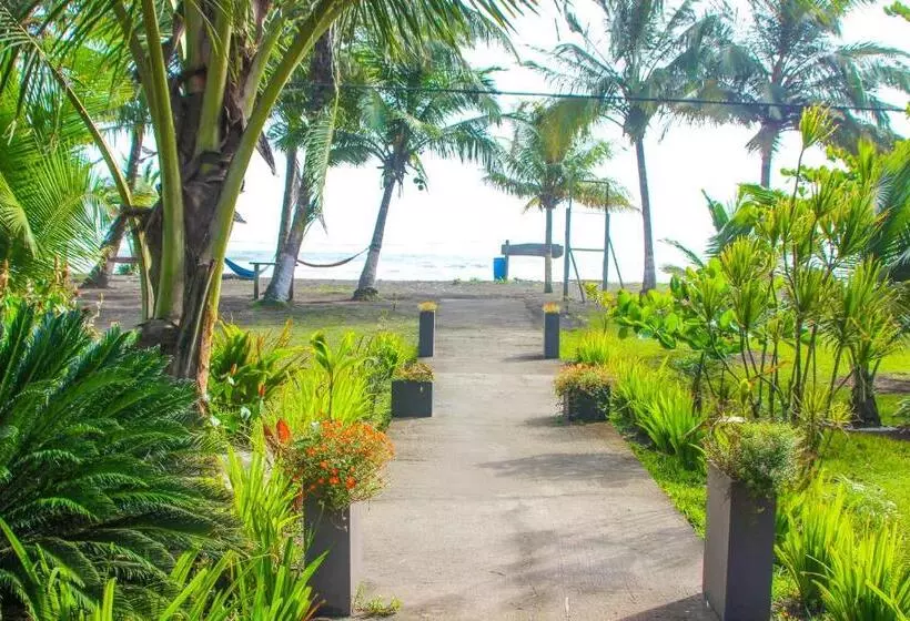 ホテル Tortuguero Beachfront