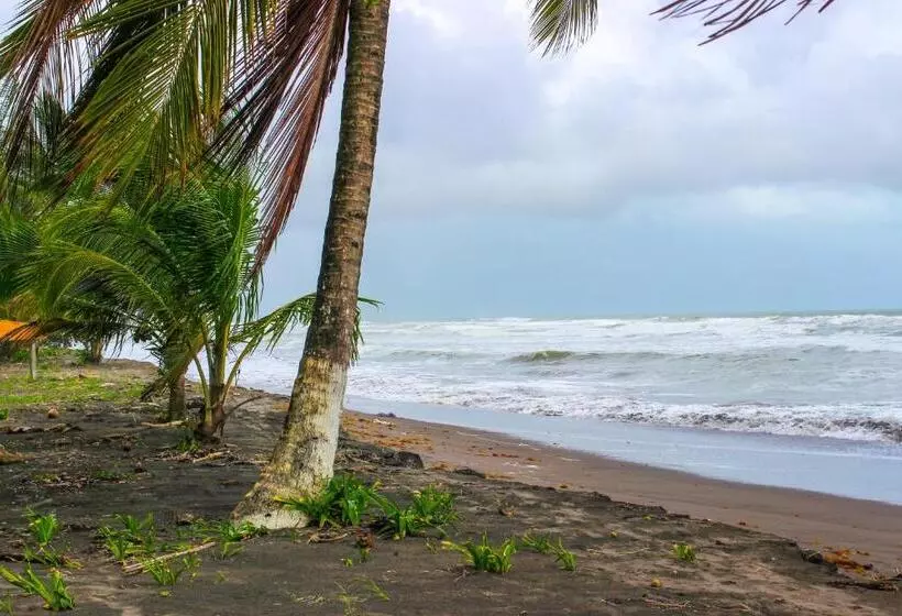 ホテル Tortuguero Beachfront