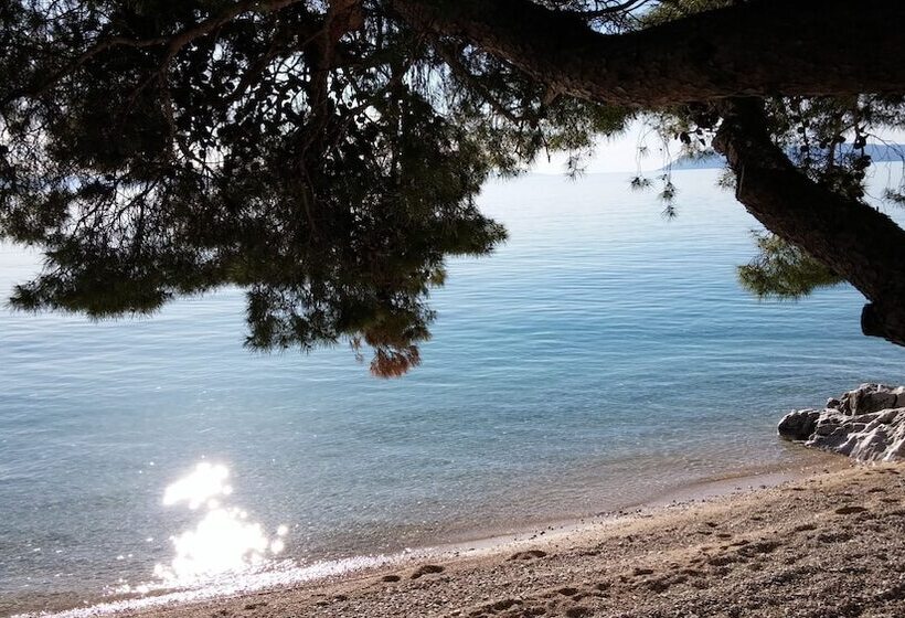 ホテル Villa Vinka