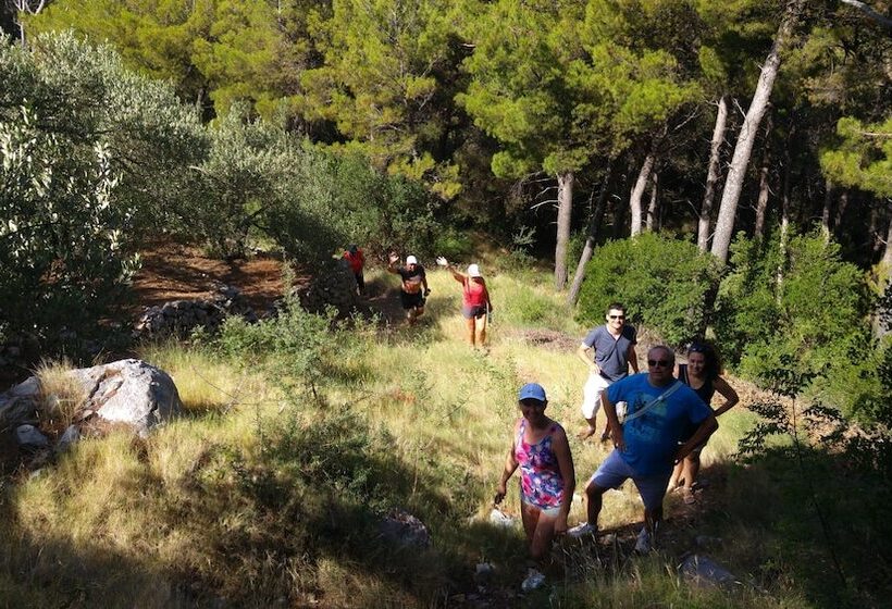 ホテル Villa Vinka