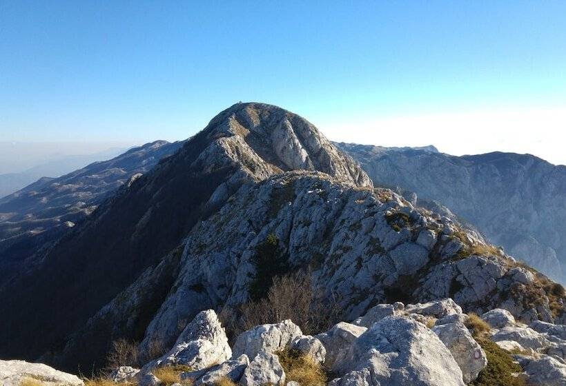 ホテル Villa Vinka