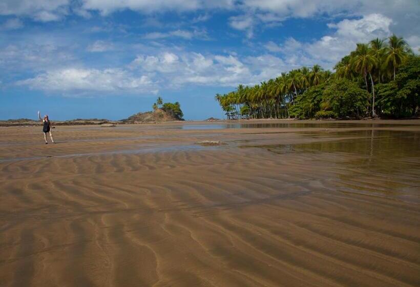 酒店 Waterfall Villas