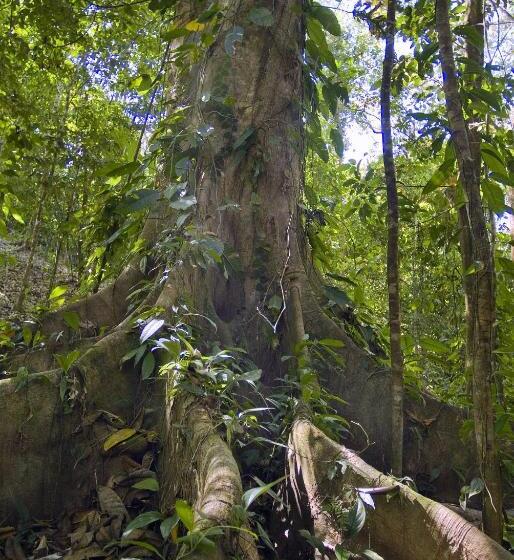 酒店 Waterfall Villas