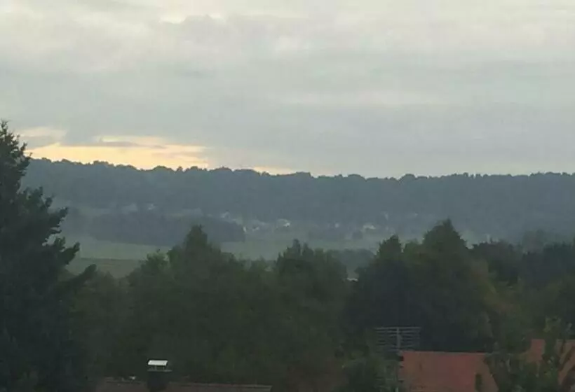 ホテル Gasthof Weißer Löwe Inh Björn Simon Reese