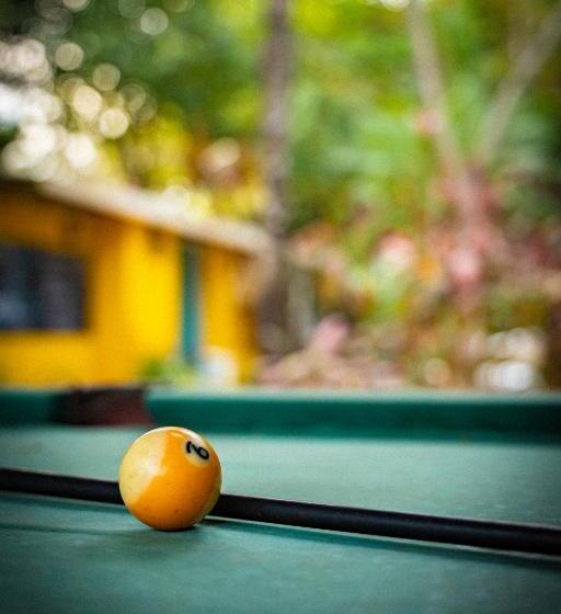 Pura Vida Mini Hostel Santa Teresa