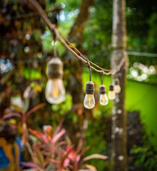 Pura Vida Mini Hostel Santa Teresa