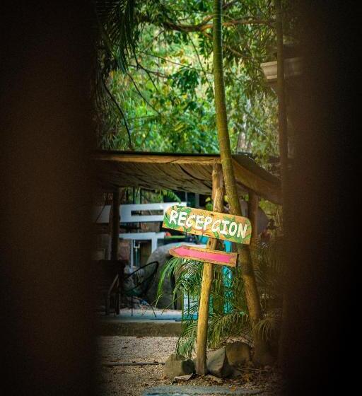 Pura Vida Mini Hostel Santa Teresa