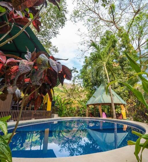 Pura Vida Mini Hostel Santa Teresa