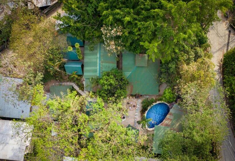 Pura Vida Mini Hostel Santa Teresa