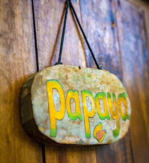 Pura Vida Mini Hostel Santa Teresa