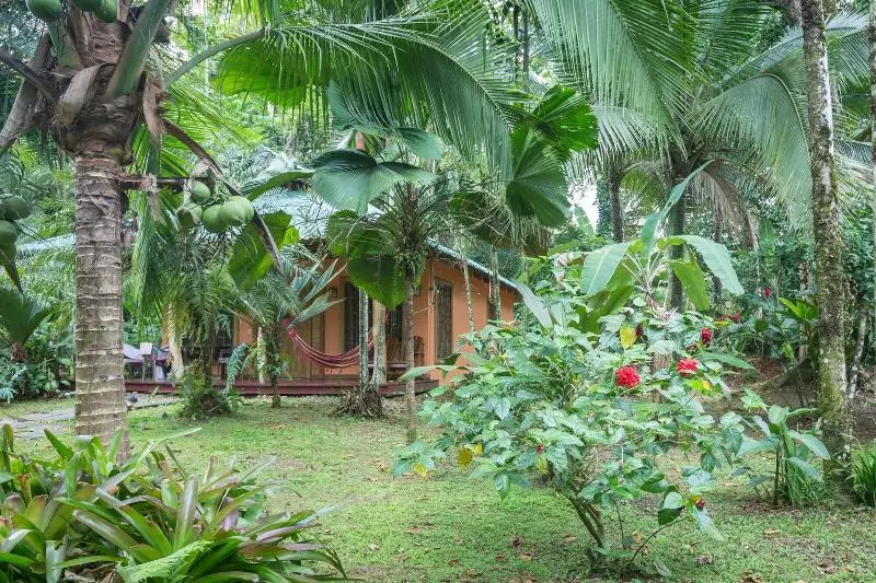 استراحتگاه El Nido Jungle Lodge