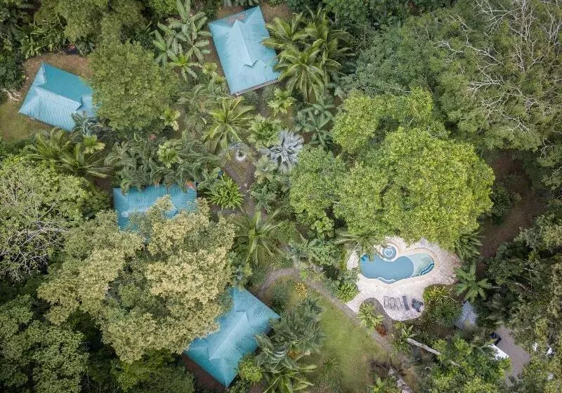 استراحتگاه El Nido Jungle Lodge
