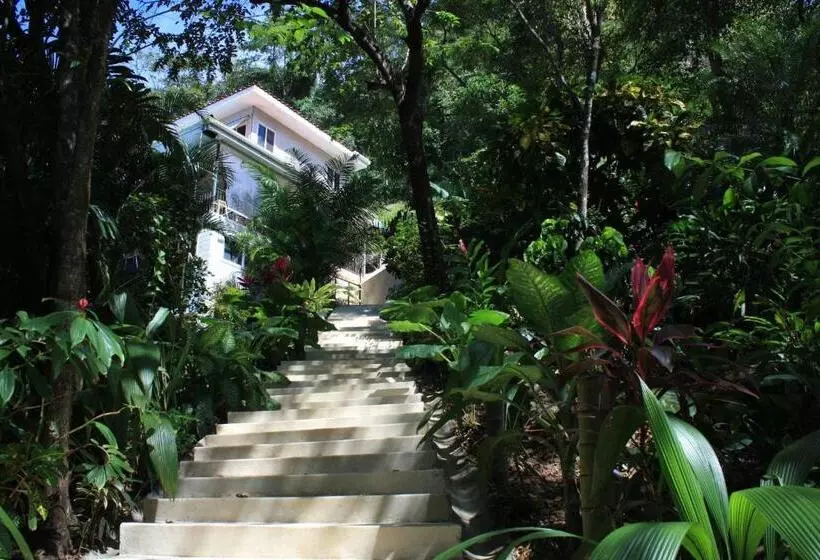 Lomakeskus Funky Monkey Lodge