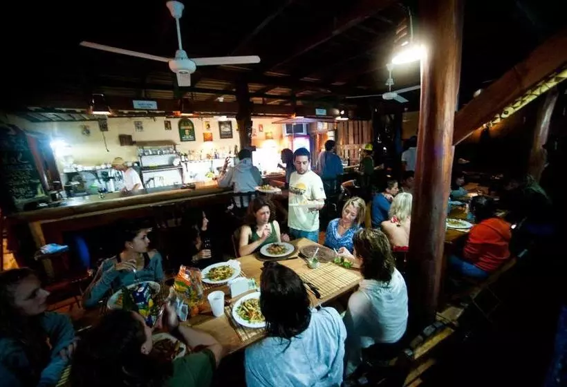 Lomakeskus Funky Monkey Lodge