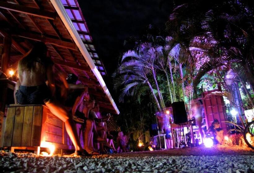 渡假胜地  Funky Monkey Lodge