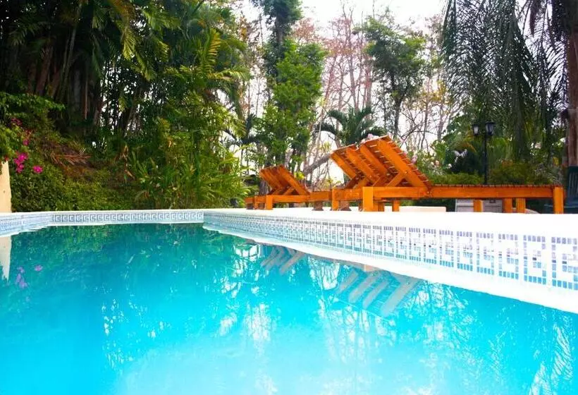 Lomakeskus Funky Monkey Lodge