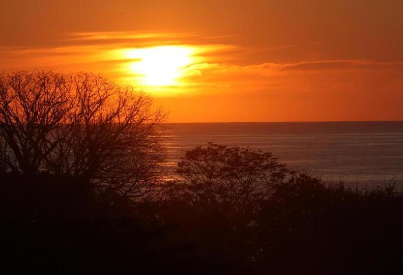 渡假胜地  Funky Monkey Lodge